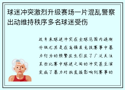 球迷冲突激烈升级赛场一片混乱警察出动维持秩序多名球迷受伤
